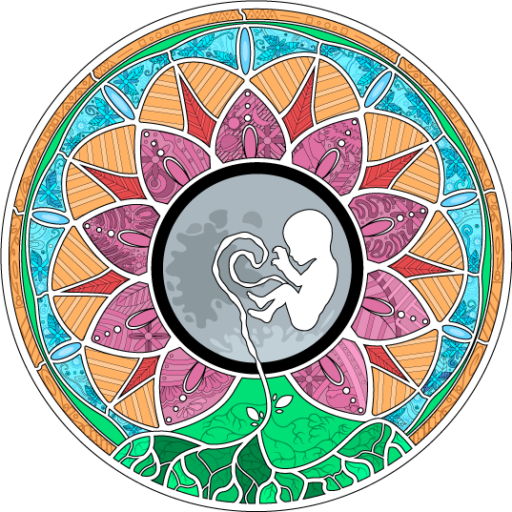 cropped-LOGO-APENAS-COM-A-MANDALA.png